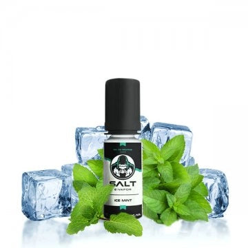 Ice Mint 10ml Salt E-vapor