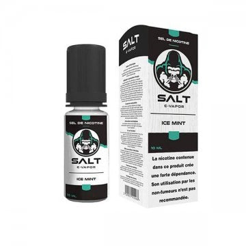 Ice Mint 10ml Salt E-vapor